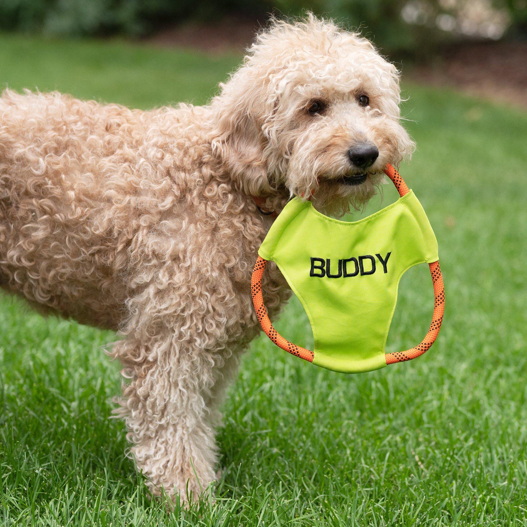 Personalized Dog Rope Frisbee
