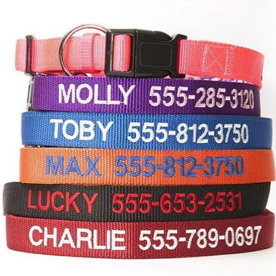 Personalized Dog Collars