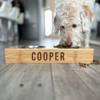 Personalized Dog and Cat Feeding Stands with Bowls